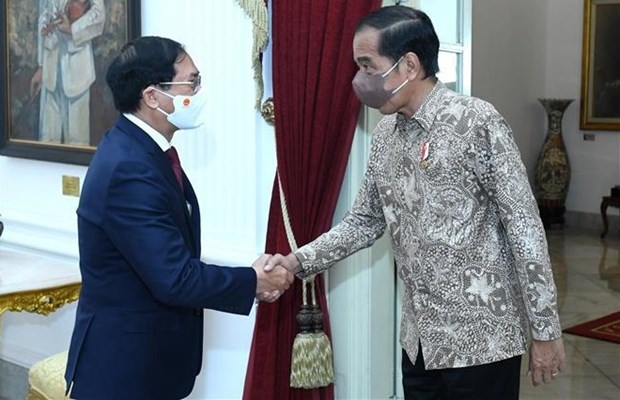 越南与印尼想方设法推动双边合作关系 hinh anh 1