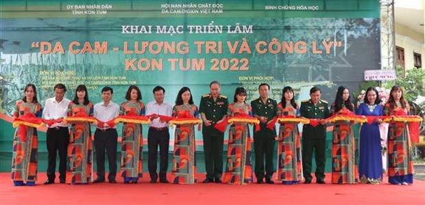 越南伤残军人与烈士日75周年： “橙剂——良知与公理”展在昆嵩省举行 hinh anh 1