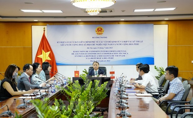 越南与秘鲁贸易合作潜力巨大 hinh anh 1