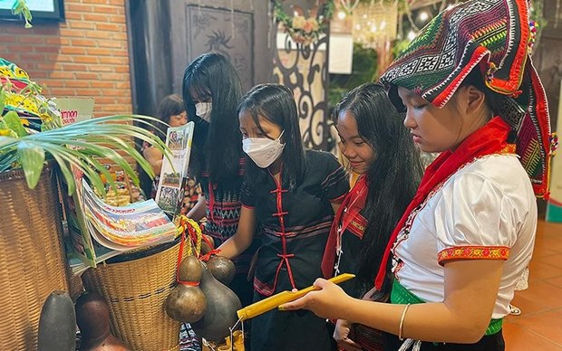 精彩纷呈的各民族少儿文化节在得乐省举行 hinh anh 1