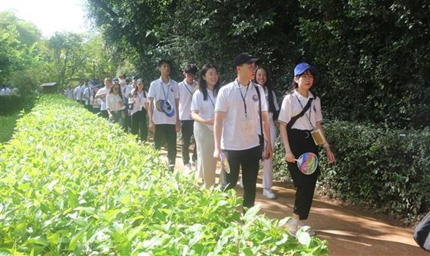 2022年夏令营活动：海外青年侨胞是促进越南与世界各国良好关系的“大使” hinh anh 1
