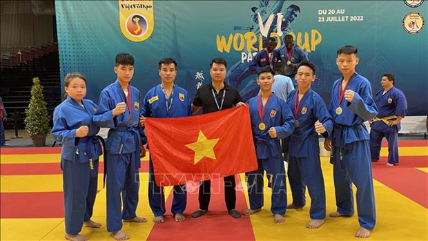 第6届越武道世界锦标赛吸引15个国家的近500名武师和选手参赛 hinh anh 1