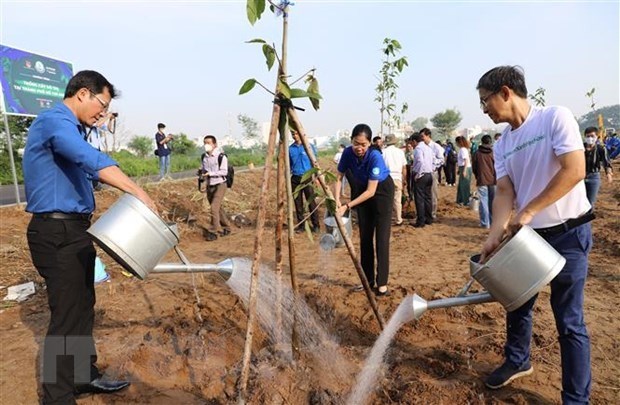 胡志明市启动城市植树活动 实施“百万棵树——绿色越南”计划 hinh anh 1