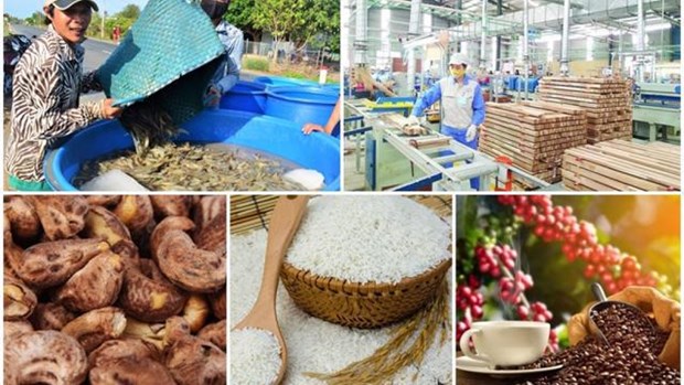 越南9个农产品出口额超10亿美元 hinh anh 1