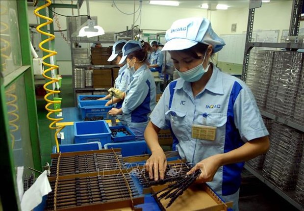 越南非国有企业、外资企业数量和职工人数猛增 hinh anh 1