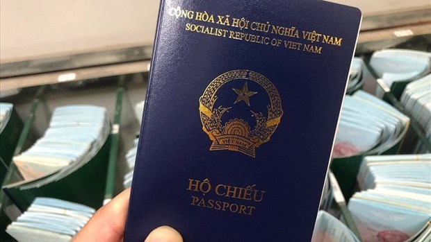 越南外交部就德方暂停向越南新普通护照持有者签发签证事宜做出回应 hinh anh 1