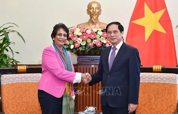 越南外长裴青山会见联合国开发计划署亚太区域局主任坎尼 hinh anh 1