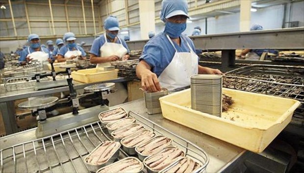 越南金枪鱼罐头对法国的出口额大幅增加 hinh anh 1