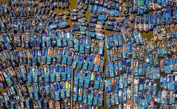 越南摄影师‘渔船矩阵’摄影作品荣获国际奖项 hinh anh 1