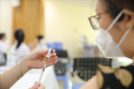 8月3日越南新增新冠肺炎确诊病例超2000例 hinh anh 1
