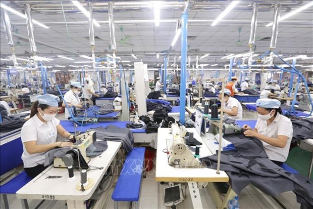 越南2022年纺织品服装出口预计达457亿美元 hinh anh 2