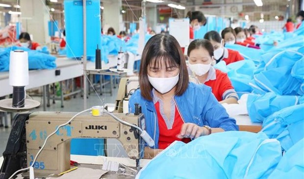 越南2022年纺织品服装出口预计达457亿美元 hinh anh 1