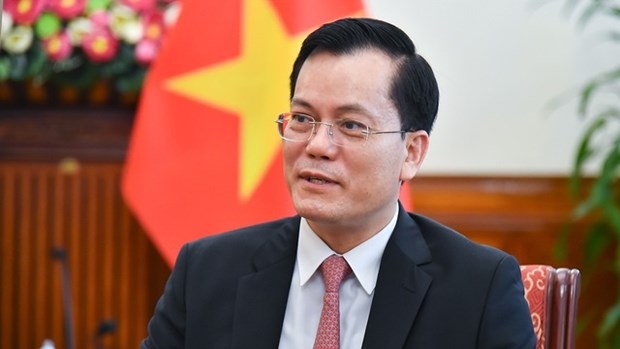 越南外交部副部长：东盟取得突破性进展 hinh anh 1