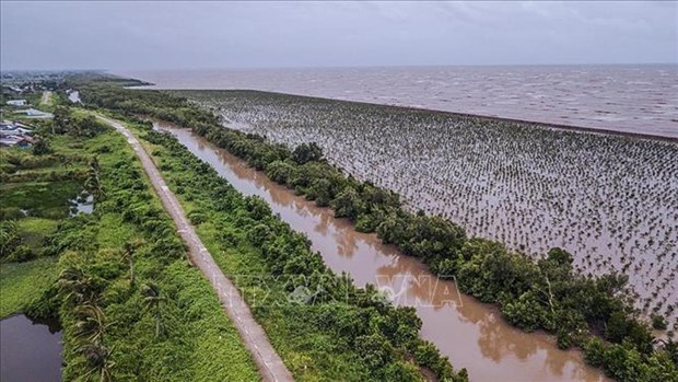 荷兰援助九龙江三角洲地区实现农业可持续转型适应气候变化 hinh anh 2