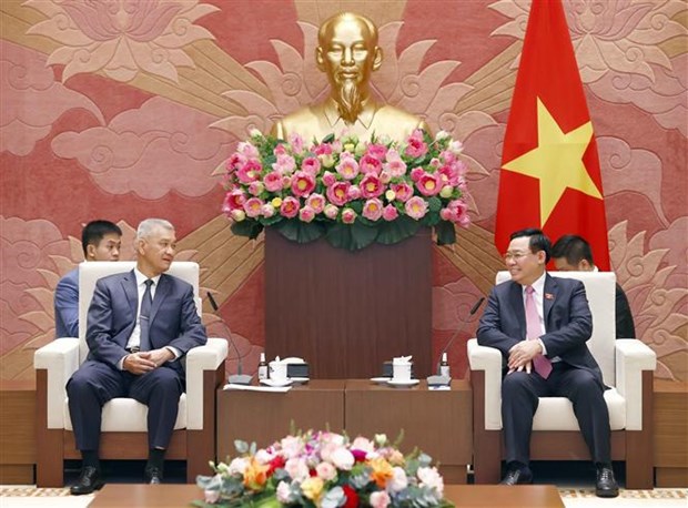 越南国会主席会见老挝人民革命党中央书记处书记首都万象人民议会主席 hinh anh 1
