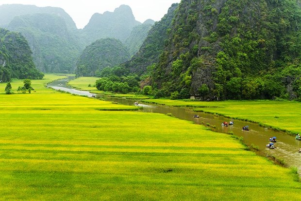 游客来越南时不容错过的八个最佳目的地 hinh anh 1