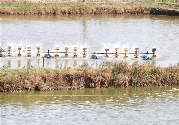 柬埔寨在湄公河上游成立水产研究中心 hinh anh 1