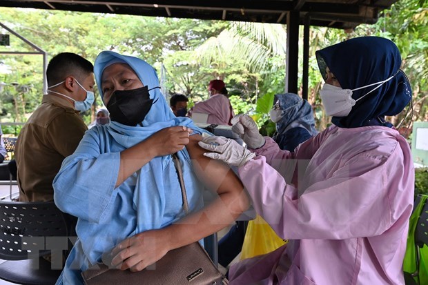 印度尼西亚宣布暂停疫情抗击基金 hinh anh 1
