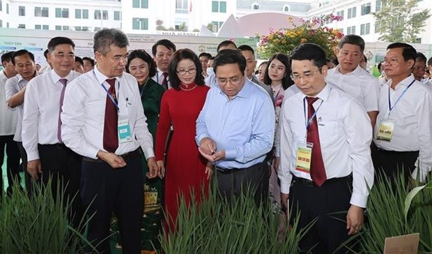 越南政府总理范明政：将传统农业经验与科技和创新结合起来 实现农业可持续高效发展 hinh anh 1