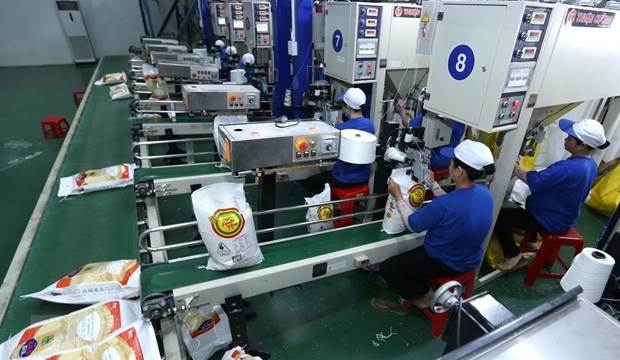 国际专家对越南大米出口提出乐观预测 hinh anh 1
