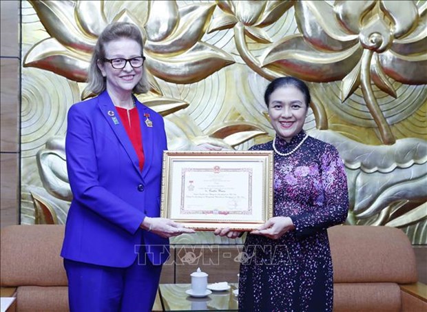 越南向联合国开发计划署驻越南首席代表授予 “致力于各民族间和平与友谊”纪念章 hinh anh 2