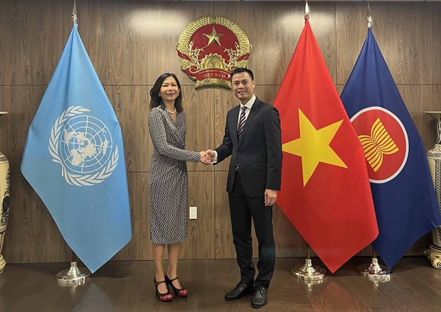 联合国驻越南协调员支持越南在联合国促进的优先事项 hinh anh 1