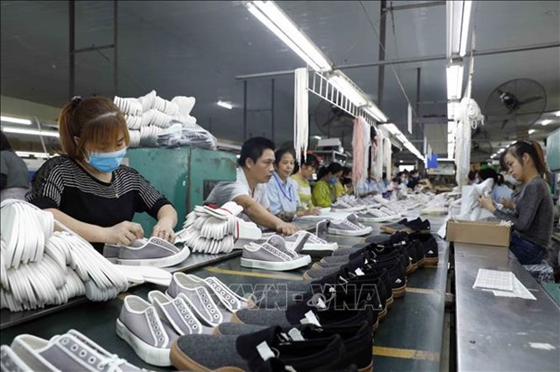 2022年前7个月越南鞋类出口创汇超过140亿美元 hinh anh 1