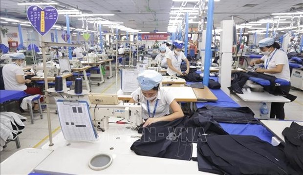 至2022年底越南纺织品服装出口额有望达450亿美元 hinh anh 2