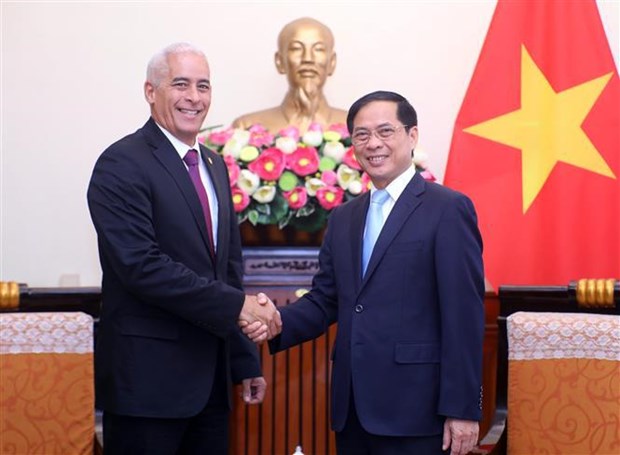 加强越南与古巴的特殊政治关系与全面合作 hinh anh 1