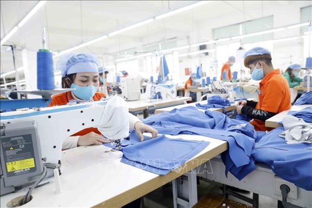 至2022年底越南纺织品服装出口额有望达450亿美元 hinh anh 1