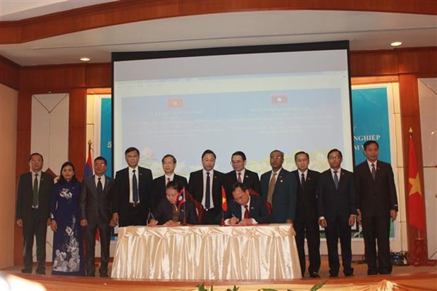 越南与老挝各省加强投资合作 hinh anh 1