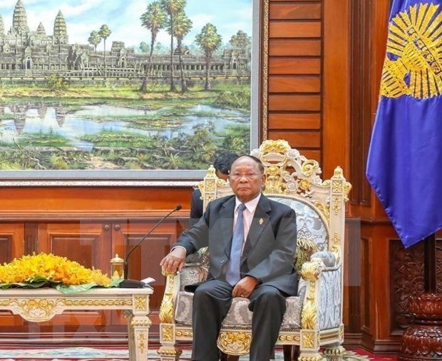 柬埔寨国会主席韩桑林访问越南：进一步加强两国国会之间的合作关系 hinh anh 1
