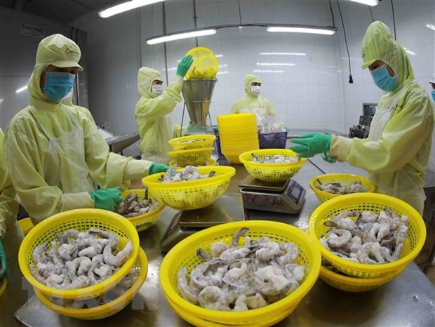 美国继续对来自越南的暖水虾征收反倾销税 hinh anh 1