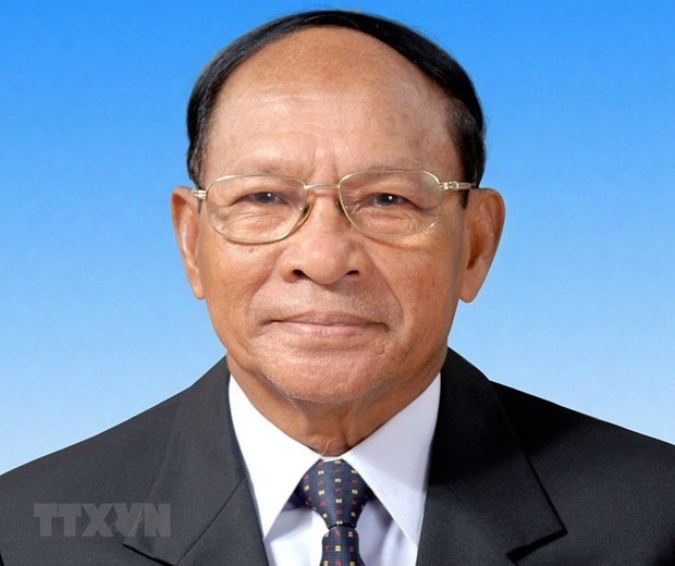 柬埔寨王国国会主席韩桑林对越南进行正式访问 hinh anh 1