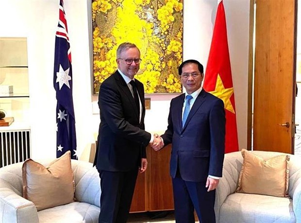 越南外交部长裴青山礼节性拜会澳大利亚总理安东尼·阿尔巴尼斯 hinh anh 1