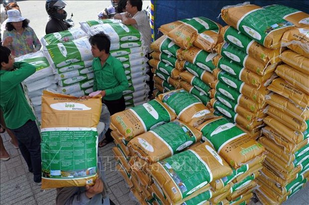 今年前8月柬埔寨大米出口增长13%以上 hinh anh 1