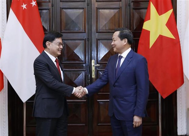 越南政府副总理黎明慨与新加坡副总理王瑞杰举行会谈 hinh anh 2