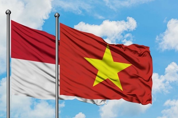 越南与印尼合作关系中的