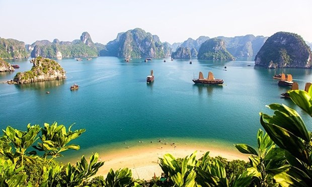 越南跻身澳大利亚游客前10个出游目的地榜单 hinh anh 1