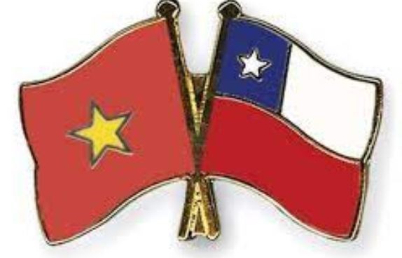 越南国庆77周年：越南始终是智利值得信赖的合作伙伴 hinh anh 1