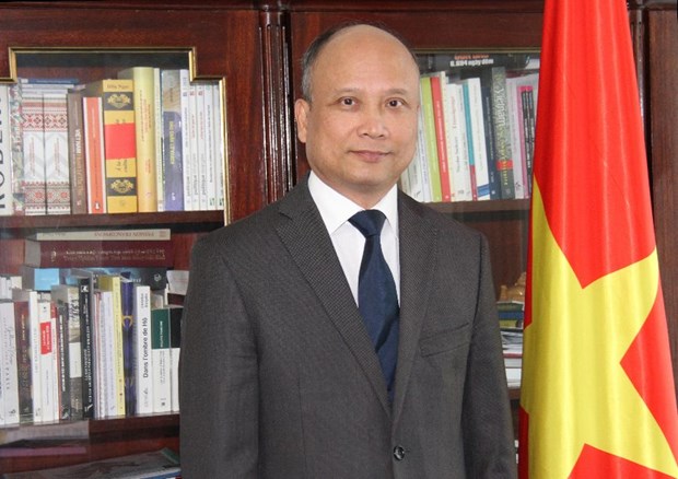 越南驻法大使呼吁法国等国际伙伴努力使对话、团结与合作成为越南与所有伙伴关系的核心 hinh anh 1