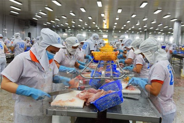 美国维持对越南查鱼和巴沙鱼的现行反倾销税率 hinh anh 1