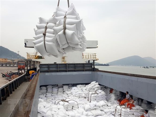 菲律宾从越南进口200万吨大米 hinh anh 1