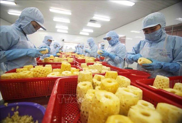 马来西亚媒体：越南巩固其在新鲜水果出口方面的地位 hinh anh 1