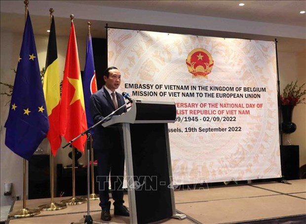 越南驻比大使：越南与欧盟和比利时的关系正处于历史最好时期 hinh anh 1