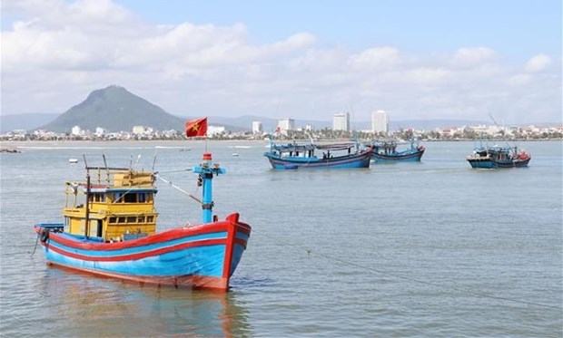 克服IUU黄牌警告：越南努力阻止渔船非法进入外国海域作业 hinh anh 2