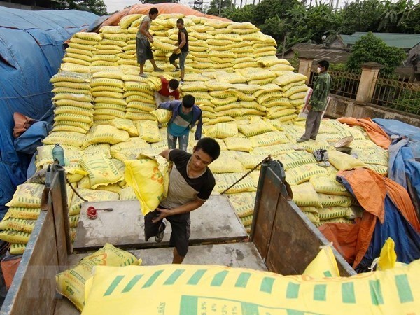 越南工贸部宣布不延长对进口磷酸一铵化肥保障措施的实施期限 hinh anh 1