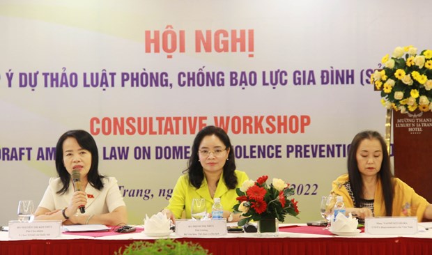 《反家庭暴力法（修正案）》征集意见会议在庆和省召开 hinh anh 1
