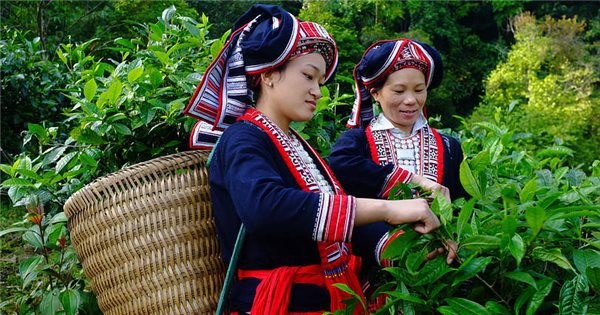 着力增强越南少数民族妇女的经济权能 hinh anh 1