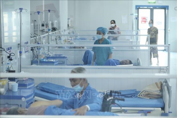 越南新增新冠肺炎确诊病例1585例 一例死亡 hinh anh 1